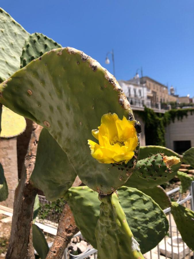 Lamanna Summer House Polignano a Mare Exterior foto