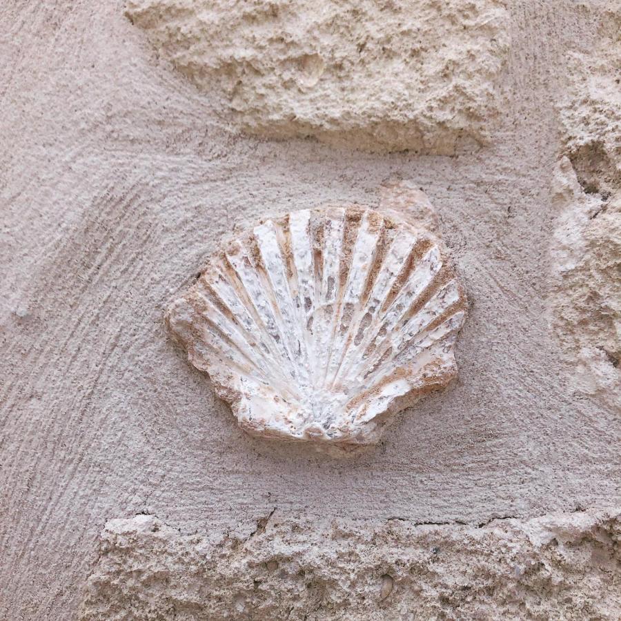 Lamanna Summer House Polignano a Mare Exterior foto